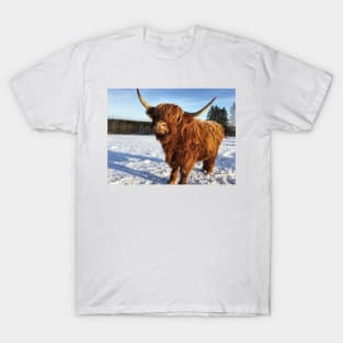 Scottish Highland Cattle Cow 2283 T-Shirt